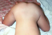 pic87_small.jpg